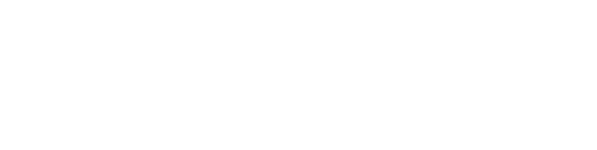 CHISA logo WHITE